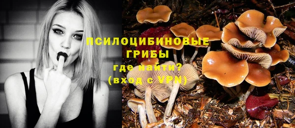 MESCALINE Нязепетровск