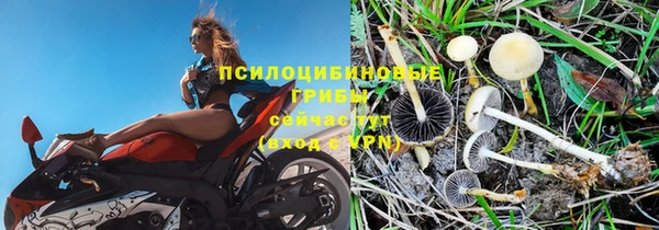 MESCALINE Нязепетровск